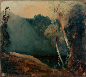 Bosco e lago