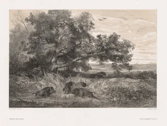 Animali e paesaggio secondo natura: Cinghiale in uno stagno, c. 1850