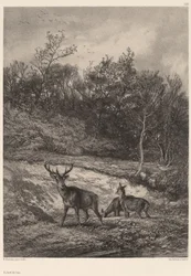 Sulla riva dell