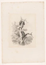 Tre orsi su un albero (serie: Paesaggi con animali)