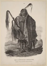 Un indiano Minitari