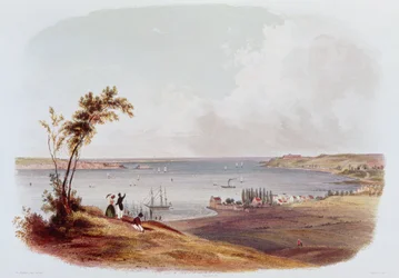 Ingresso alla Baia di New York, Staten Island, inciso da Salathe (litografia a colori)