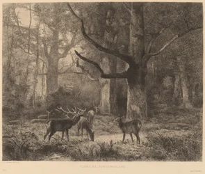 Foresta di Fontainebleau