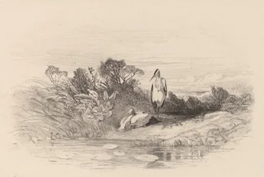 Les Deux Herons