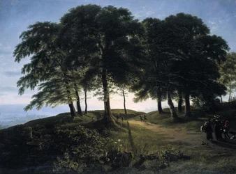 Buongiorno