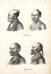 Busti di uomini giapponesi con acconciatura chonmage e di uomini cinesi con barbe, uno con codino. Litografia di Karl Joseph Brodtmann dall