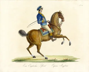 Il cavallo inglese (stampa)