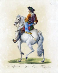 Il cavallo spagnolo (stampa)