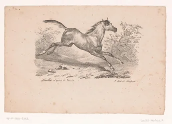 Cavallo al galoppo nel paesaggio