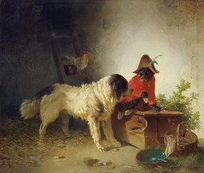 Buoni amici