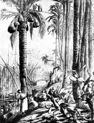 Bordi del Canale, Mahmoudiyeh, 1880