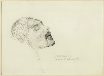 Karl Liebknecht sul letto di morte