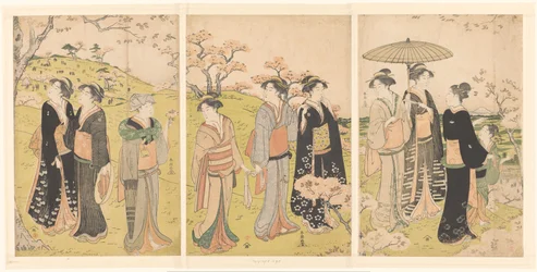 Ammirare i fiori di ciliegio ad Asukayama