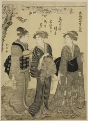 Fiori di Ciliegio in Primavera, dalla serie "Le Migliori Odi sui Fiori delle Quattro Stagioni (Shuku awase, shiki no hana)"
