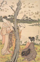 Raccolta di giovani fiori, fine XVIII secolo