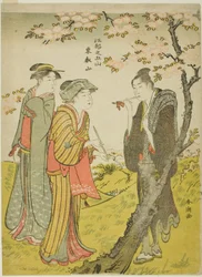 Collina Toei, dalla serie "Cinque colline di Edo"