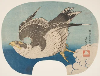 Un falco in volo