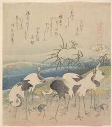 Ashi Clam, dalla serie "Genroku Kasen Kai-awase"