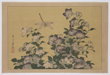Campanula e libellula (stampa xilografica a colori)