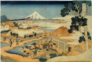 Monte Fuji visto dalla piantagione di tè a Katakura, provincia di Suruga