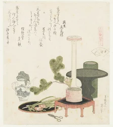 Conchiglia di fiore