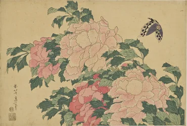 Farfalle e peonie