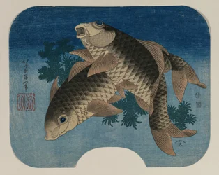 Carpe che nuotano tra le piante acquatiche, 1831