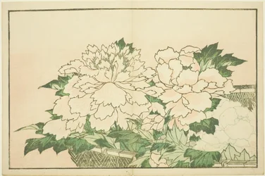 Crisantemi in un cesto, dal Libro Illustrato di Pitture Realistiche di Hokusai