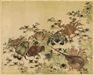 Crostacei, Periodo Edo c.1825