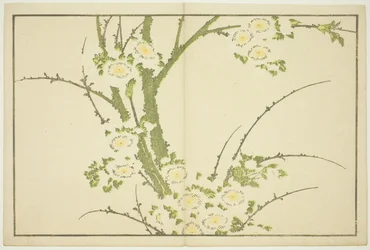 Fiori, dal Libro delle Immagini di Pitture Realistiche di Hokusai (Hokusai shashin gafu)