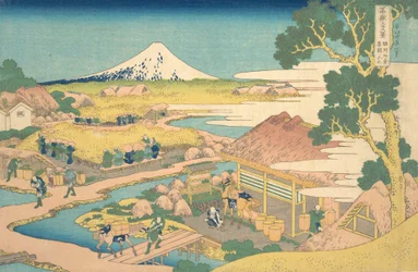Fuji dai campi di tè di Katakura a Suruga, dalla serie Trentasei vedute del Monte Fuji