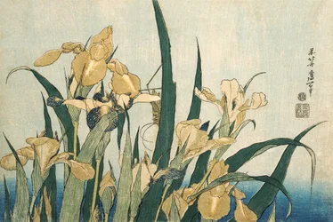Iris con una cavalletta, pubblicato nel 1830