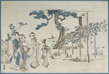 Donne che visitano i giardini di glicine a Kameido