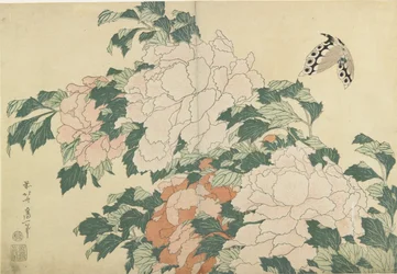 Peonie e farfalla, c. 1830-1831