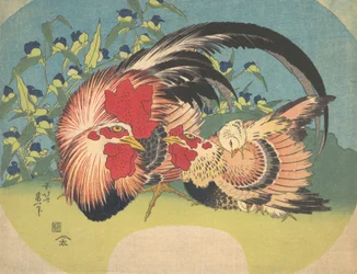 Gallo, Gallina e Pulcino con Tradescantia, ca. 1830-33
