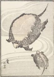 Stagno Sayama-ga-ike nella provincia di Musashi, 1817