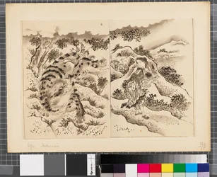 Scene dalla guerra tra Giappone e Corea, fine XVIII-metà XIX secolo