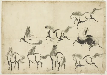 Studi di cavalli, ca. 1815-1849