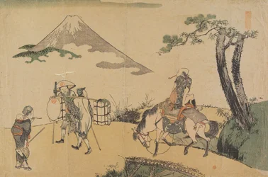 La vetta del Monte Fuji