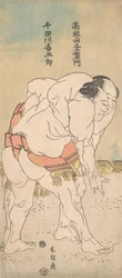 I lottatori di sumo Takaneyama Yoichiemon e Sendagawa Kichigoro