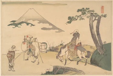 La vetta del Monte Fuji