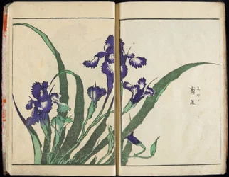 Trasmettere lo spirito e rivelare la forma delle cose: Il giardino delle immagini di Hokusai, vol. 1 completo