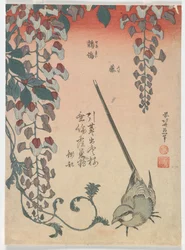 Ballerina e glicine, periodo Edo, 1834