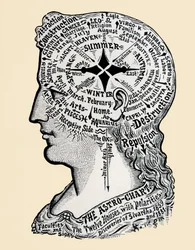 Una mappa della testa e delle spalle umane. XIX secolo