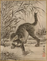 Gatto che cattura una rana