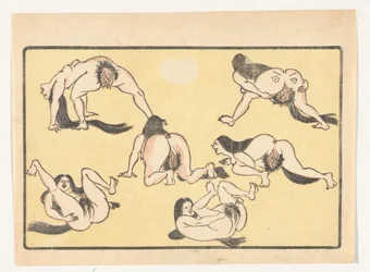 Donne nude La grande coda (titolo della serie)