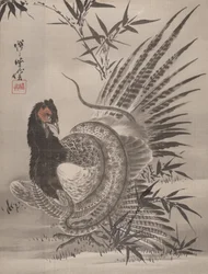 Fagiano catturato da un serpente