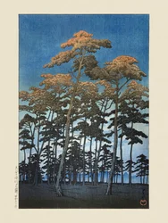 Il Parco Hikawa a Omiya (1930) di Kawase Hasui e Watanabe Shozaburo