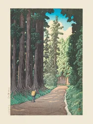 Nikko Gaido (La strada per Nikko) (1930)