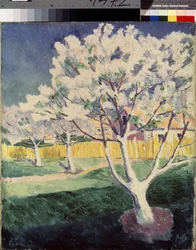 Paesaggio estivo